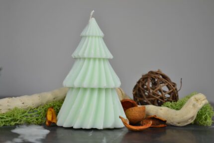 Abete L – Candela naturale Albero di Natale – misura grande
