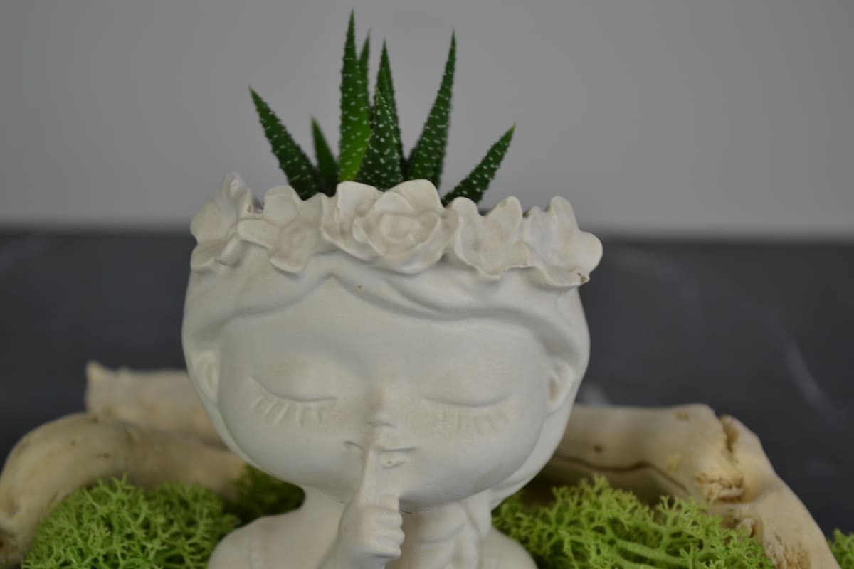 Flora - Vaso in gesso ceramico -Idea bomboniera - immagine 4