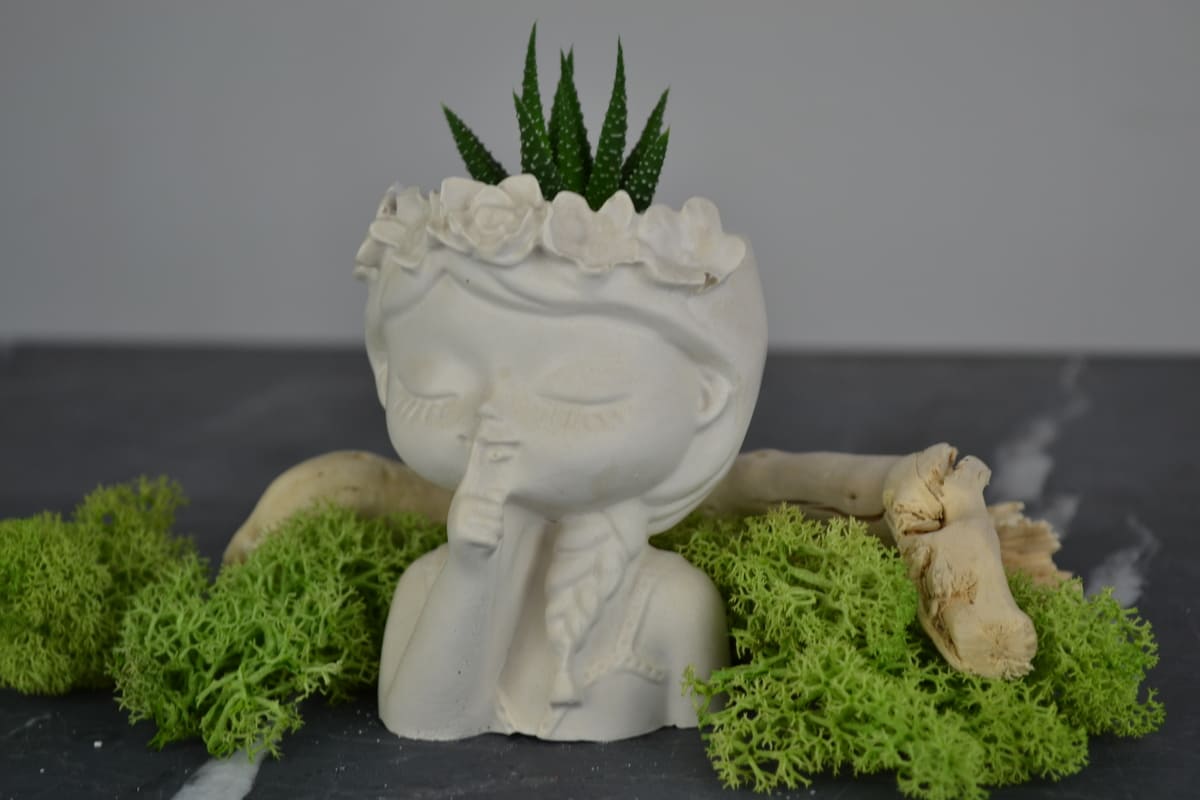 Flora - Vaso in gesso ceramico -Idea bomboniera - immagine 3