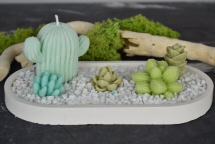 Giardino Zen- Vassoio in gesso con piante grasse (candele)