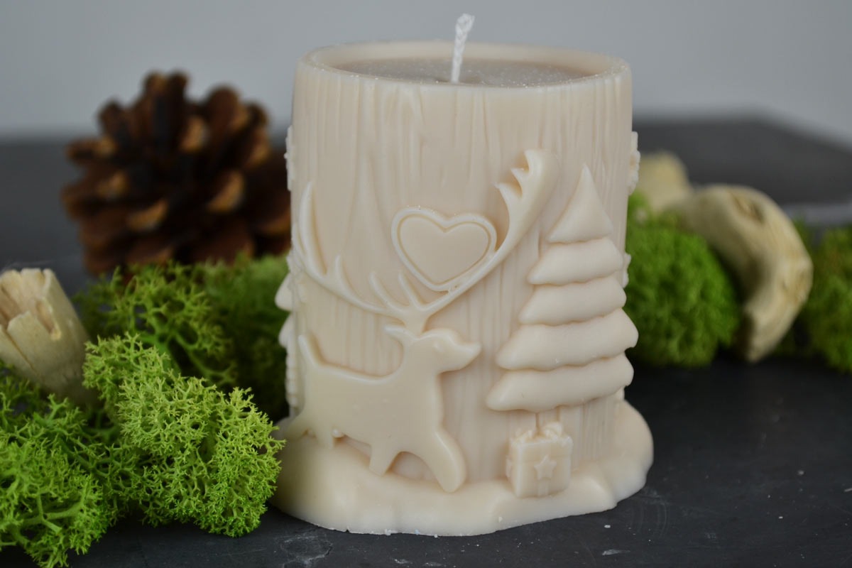 Magia del bosco- Candela naturale